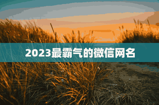 2023最霸气的微信网名(2023最霸气的微信网名男)